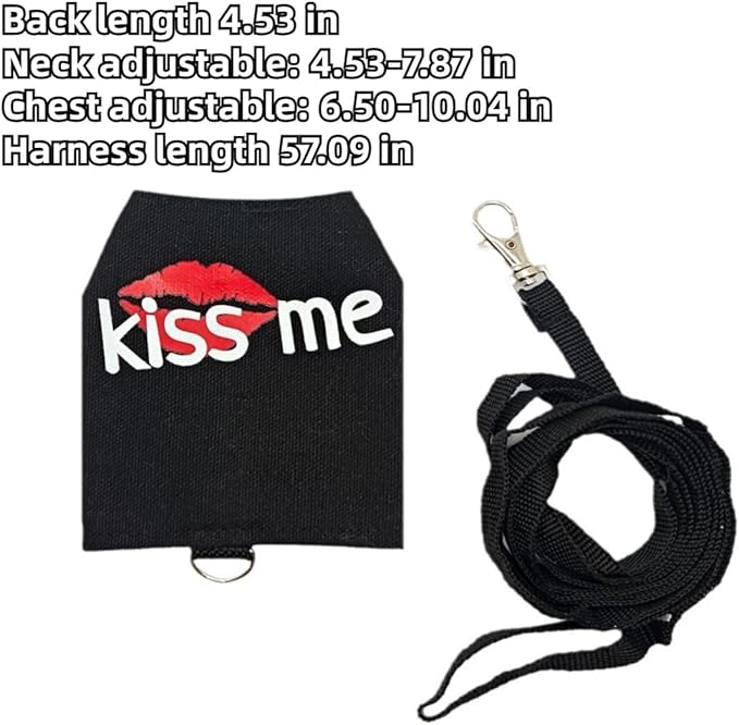 Bearded Dragon Harness and Leash Set - Cute Lizard Reptile Small Animal Adjustable Harness Clothes with Short Leash for Walking Outdoor (Black)