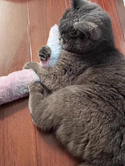 PAZ'S GIFT Catnip Toys - Cat Kick & Rope Toys for Indoor Play, cat & Kitten Teething Chew Toys for Aggressive Chewing & Teeth Cleaning (Cat Pillow)