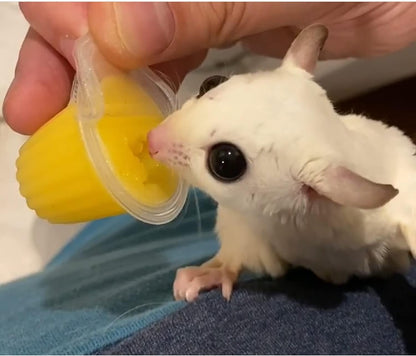 Nectar Pods (Pineapple) - Calcium-Fortified Jelly Fruit Treat - Sugar Gliders, Marmosets, Squirrels, Parrots, Cockatiels, Parakeets, Birds, Hamsters, Day Geckos, Kinkajous & Other Small Pets