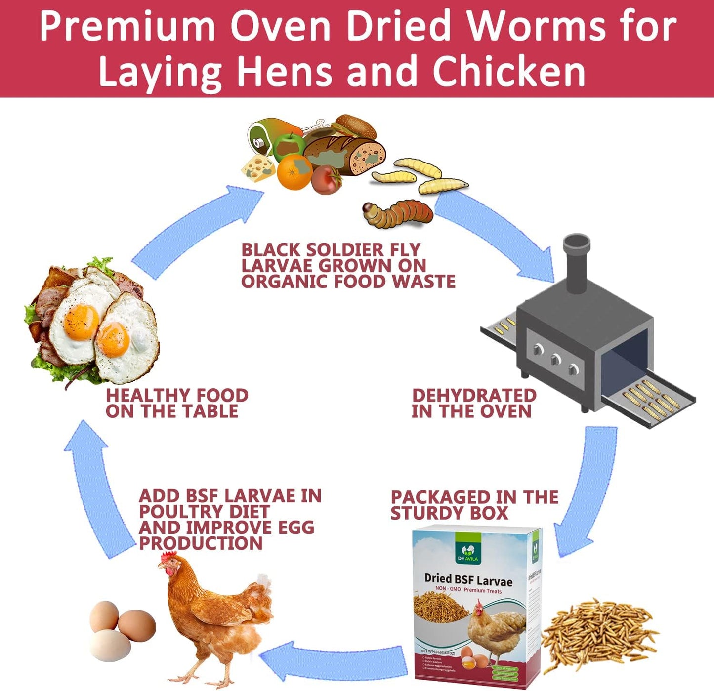 10LB Dried Black Soldier Fly Larvae for Chickens, Non GMO 86X More Calcium BSF Larvae Than Mealworms for Chickens & Birds, Natural Chicken Feed Bulk, Chicken Worms Treats, Wild Birdseed Attractant