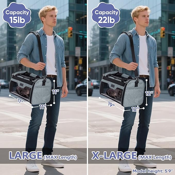 BALEINE Cat Carrier, Puppy Dog Carrier for Small Medium Pets Up to 15 Lbs, Soft-Sided Dog Travel Bag with Safety Zippers, Collapsible Pet Carrying Case (Gray, L, 17"x11"x11")