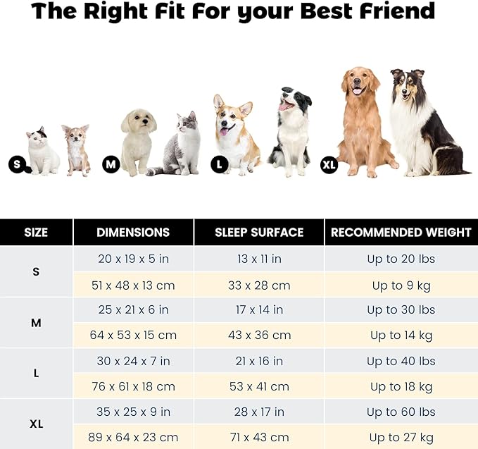 Miguel Dog Bed with Removable Cushion/Pillow for Medium Small Dogs, Washable Pet Bed with Side Easy to Wash Puppy Bed, Large Rectangle Cat Bed for Indoor Cat with Anti-Slip Bottom, Gray 25 Inch