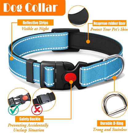 No Pull Dog Harness, Collar & Leash Set | Includes Dog Seat Belt, Collapsible Bowls & Poop Bag Dispenser. Ideal for Training, Walking, Hiking. Fits Small to Large Dogs(Blue-L)