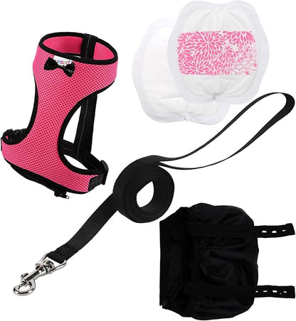 10 Pack Super Absorbent Pet Training Pads + 1 Set Durable Pet Leash & Harness | Leak-Proof Essentials for Indoor & Travel (S Size)