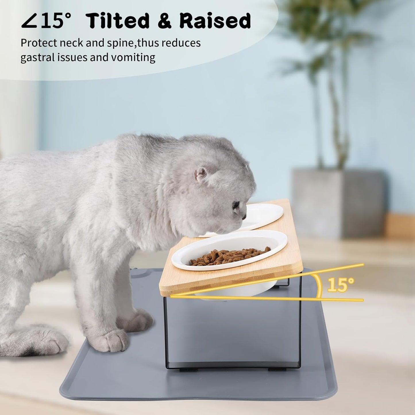 Elevated Whisker Friendly Cat Bowls, 15 Tilted Stand Anti Vomiting Raised Dishes for Food and Water, Ceramic Bowls for Cats and Puppy,Bamboo