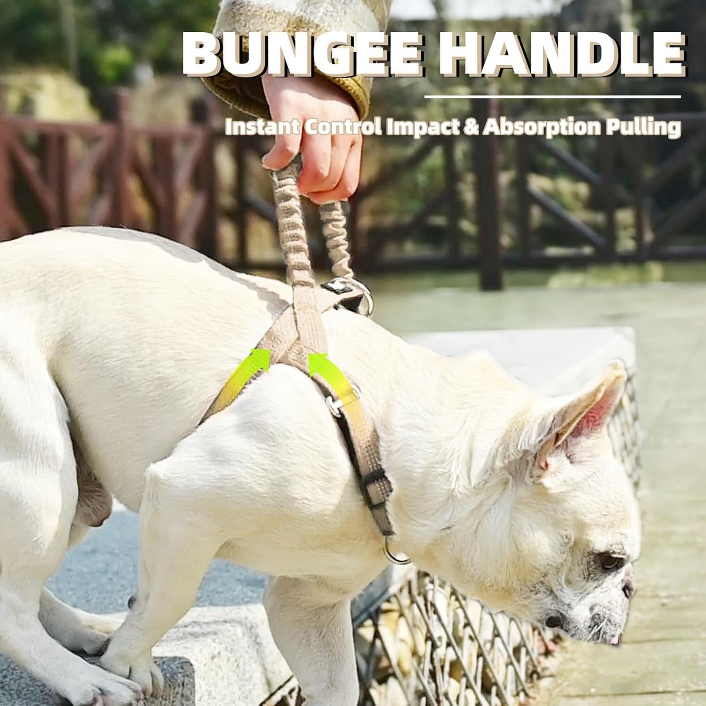 PUPTECK No Pull Dog Harness Small Sized Dog, Adjustable Reflective Pet Vest Harness with Bungee Handle, Escape Proof No Choke Harness for Small Dogs Walking Training, Beige S