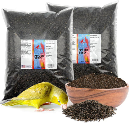 Morning Bird Nyjer Seed for Birds 18 lbs (2-Pack, 9 lbs Each)– Energizing Nutrition with Rich in Vitamins and Supplements – Ideal Bird Food for Breeding & Molting – Finch Seed for All Birds