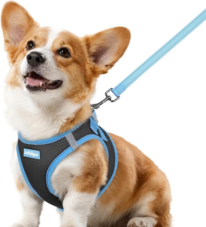 rabbitgoo Dog Harness Small Sized and Leash Set, Step-in Breathable Pet Harness, Soft Walking Reflective Puppy Vest for Small Dogs, Black & Light Blue, L