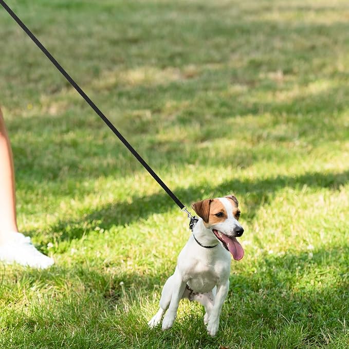 Hypeety Pet Dog Training Leash Strong Durable Nylon Lead, Traction Rope, 5 Feet Long for Puppy Kitty Rabbit Training or Walk 3 Pack Set