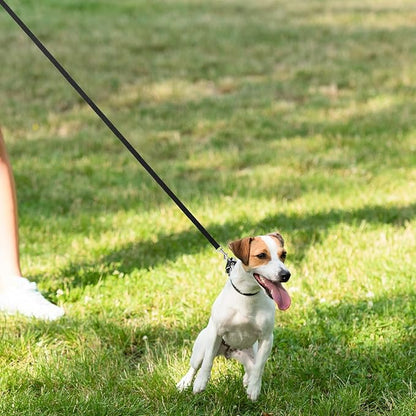 Hypeety Pet Dog Training Leash Strong Durable Nylon Lead, Traction Rope, 5 Feet Long for Puppy Kitty Rabbit Training or Walk 3 Pack Set