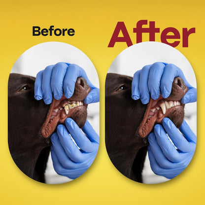 DOCO Dog Teeth Cleaning Wipes - Dog Tooth Brushing Kit, Remove Plaque & Tartar, Dental Freshen Breath, Easy Pet Tooth Cleaning Kit for Oral Care, Ideal for Cat Owners - Chicken Flavor, 100 ct.