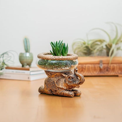 Good Luck Elephant Glass Bowl – Gold Antiqued Decorative Figurine with Removable Glass Bowl – Terrarium, Candle Holder, or Tabletop Aquarium – Polyresin Home Décor with Gift Box