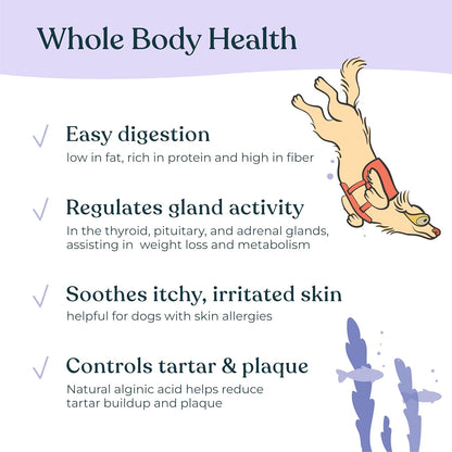 Gentle Creatures Sea Kelp Organic Supplement for Dogs and Cats, Icelandic Geothermal, 3.5oz, with 60+ Minerals and Vitamins, Made in US