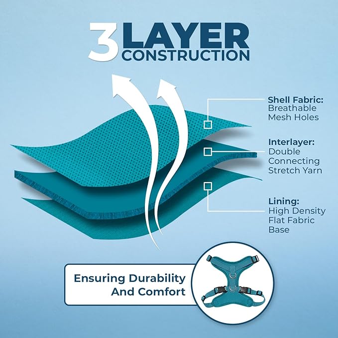 Voyager Step-in Lock Adjustable Cat Harness w. Cat Leash Combo Set with Neoprene Handle 5ft - Supports Small, Medium and Large Breed Cats by Best Pet Supplies - Turquoise, XXS