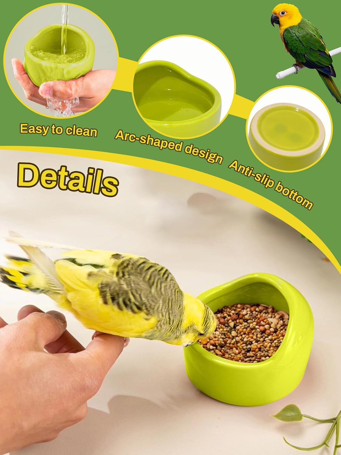 2 Pcs Ceramic Bird Food Bowls Parakeet Cage Water Bowl Birds Feeding Dish Parrot Water Feeder for Cage with 2 Plastic Feeding Clips for Parakeets Conure Cockatiels Lovebird Budgie (Green)