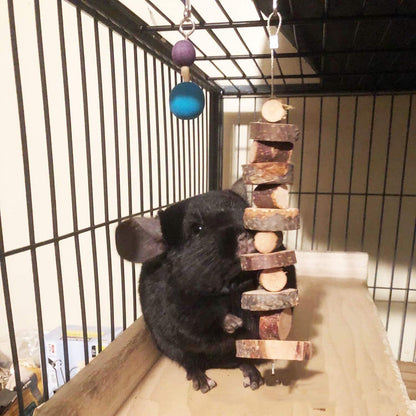 Apple Branch Rabbit Chew Toys: 2 Pcs Chewing Sticks for Guinea, Hamsters, Pigs, Bunnies, Chinchillas, Small Pets - Wooden Molar Teeth Grinding Treats for Rodents