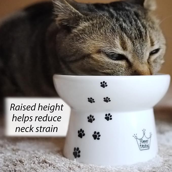 Necoichi Raised Cat Food Bowl – Ceramic Elevated Cat Bowl for Whisker & Neck Fatigue, Dishwasher Microwave Safe – Non-Slip & Anti Vomiting Ergonomic Design (Cats, Regular)