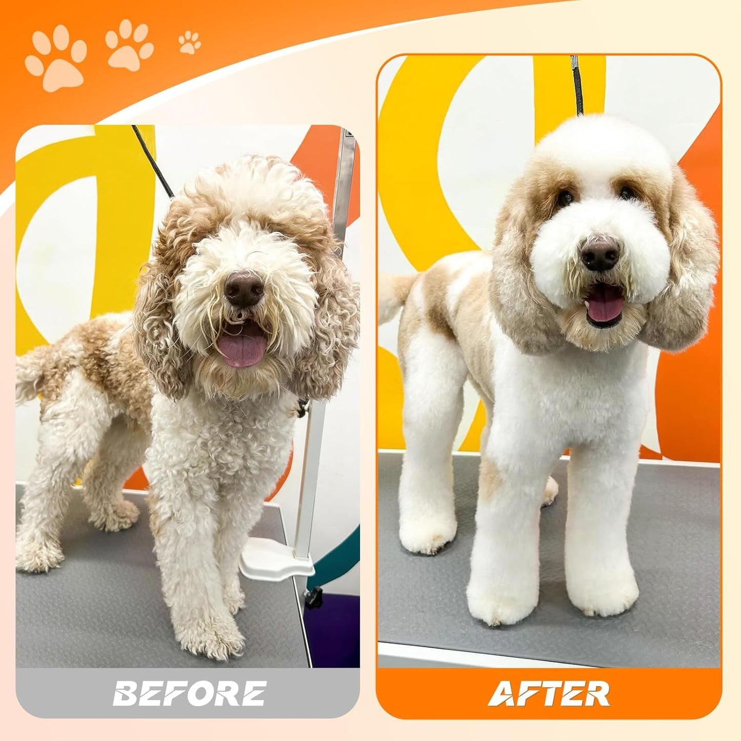 JASON Professional Dog Grooming Scissors Set - 6 in 1 Dog Shears Kit with 6.5" Thinning, 7" Straight, 7" Up-Curved, 7" Down-Curved Shears and Comb for Cat and Pet, Adjustable Screw (Black)