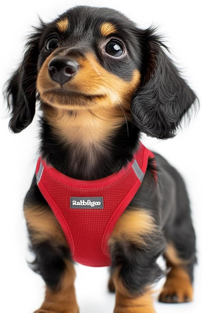 rabbitgoo Small Dog Harness, Step-in Soft Mesh Puppy Vest with Safety Buckle, Breathable Reflective Pet Harness for Extra Small Dogs, Red XXS