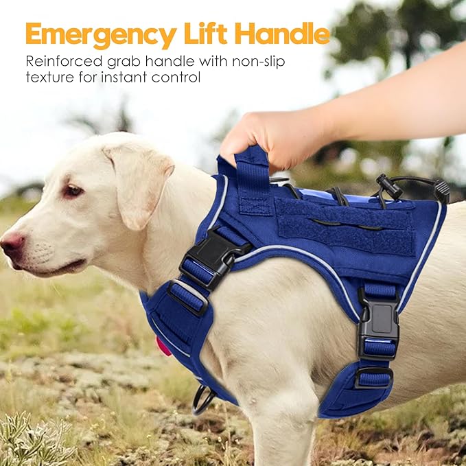 Heavy-Duty Tactical Dog Harness for Large Dogs, No Pull Adjustable Reflective Pet Vest with Molle System, K9 Military-Grade Control for Service Training, Outdoor & 10+ Breeds, Dazzling Blue, Medium