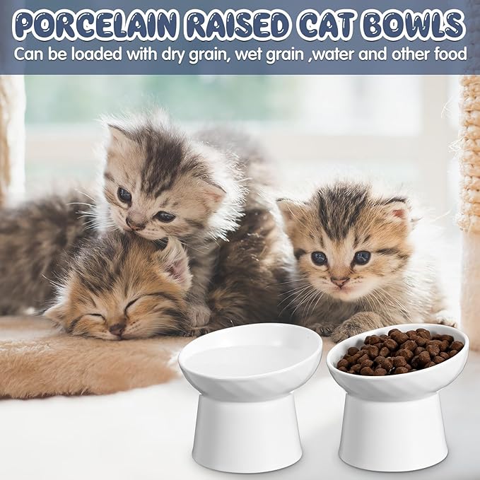Tanlade 4 Pcs Ceramic Raised Cat Bowls, Elevated Tilted Cat Bowl, Stress Free, Backflow Prevention, Dishwasher and Microwave Safe for Indoor Kitten, Puppies(White)