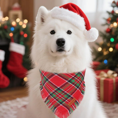 PTDECOR Christmas Dog Bandanas with Tassels Edges, 2 Pack Red Green Plaid Scarf Bib, Reversible Triangle Xmas Bandanas for Medium Large Dogs Pets (Large)