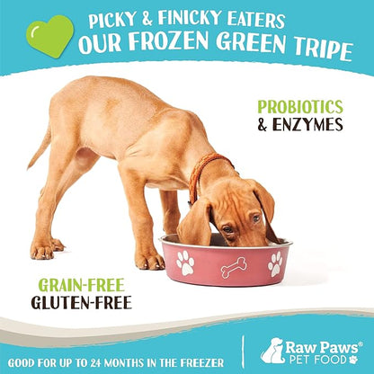 Raw Paws Signature Pet Food for Dogs & Cats - Green Goat Tripe, 1-lb Rolls (20 Pack) - Fresh Pet Food Made in USA - Natural Dog Food Rolls - Raw Frozen Dog Food – Green Goat Tripe for Dogs & Cats