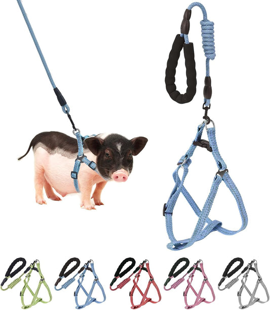 Mini Pig Harness, Adjustable Small Pig Harness with Leash Infinity Style Lead and Soft Foam Handle for Small to Medium Pet Pigs Walking Training Jogging (Blue, M)