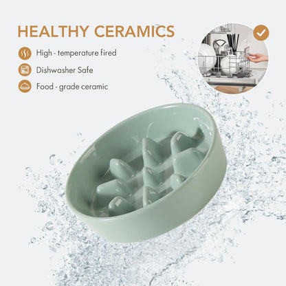 Ceramic 1.2 Cup Dog Bowl Slow Feeder, 7.3 inch Slow Pet Food Dish for Medium and Small Dog, Stop Bloat, Preventing Choking(Single Bowl, Light Green)