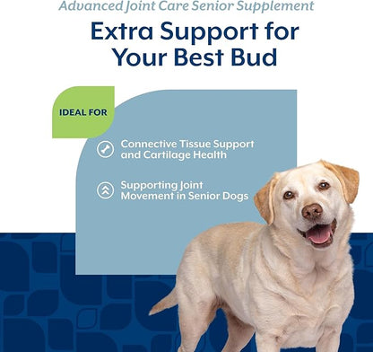 NaturVet Senior Advanced Joint Health Dog Supplement – Includes Glucosamine, MSM, Chondroitin, Collagen – Helps Supports Canine Joint Health Function – 60 Ct. Soft Chews