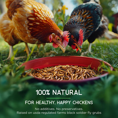 FLYGRUBS 5 lb Dried Black Soldier Fly Larvae - High-Calcium Chicken Treats for Laying Hens and Wild Birds - Nutrient-Rich Mealworm Alternative - Supports Feather Growth and Strong Eggshells