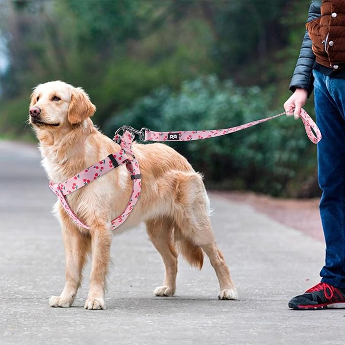 QQPETS Dog Harness Leash Set Adjustable Heavy Duty No Pull Halter Harnesses for Small Medium Large Breed Dogs Back Clip Anti-Twist Perfect for Walking (L(23"-32" Chest Girth), Sakura Pink)