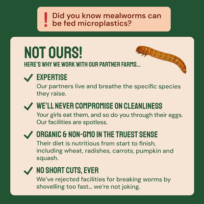 Hatortempt Dried Mealworm Bird Food - 20 Lb Bulk Pack - High Protein Poultry & Chicken Feed - Duck Food & Wild Bird Feed & Quail Treats