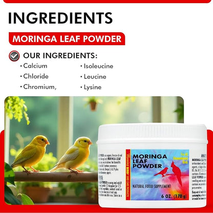 Morning Bird Moringa Leaf Powder 6 oz – Natural Food Supplement for Birds, Rich in Vitamins & Minerals, Boosts Immune System & Energy, Supports Healthy Feathers, Digestion, and Overall Avian Wellness