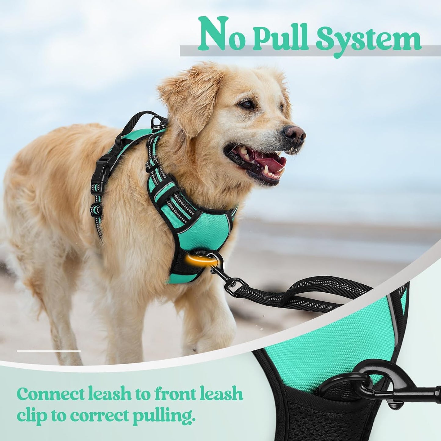 rabbitgoo Dog Harness No Pull with 2 Leash Clips, Adjustable Soft Padded, Reflective Oxford No Choke Pet Vest with Easy Control Handle for Large Dogs, Turquoise, XL