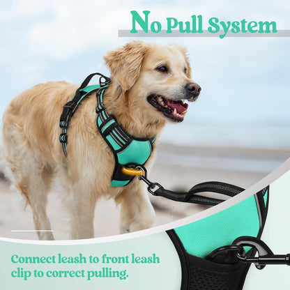 rabbitgoo Dog Harness No Pull with 2 Leash Clips, Adjustable Soft Padded, Reflective Oxford No Choke Pet Vest with Easy Control Handle for Large Dogs, Turquoise, XL