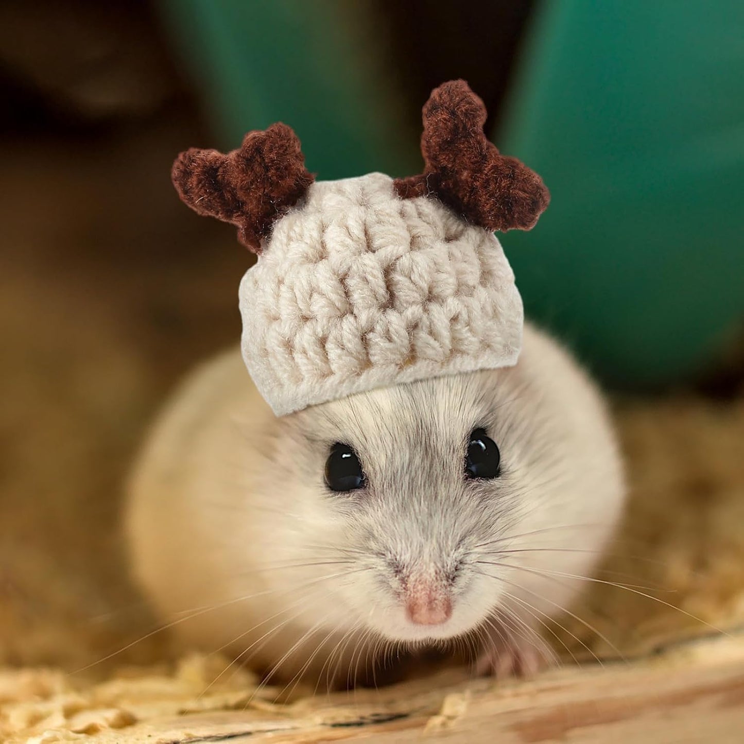 Kajaia 10 Pcs Hamster Hat Small Animals Cute Tiny Hat Mini Hand Knitted Hats for Snakes Pets Bearded Dragon Guinea Pig Bunny Costume Accessories Easter Holiday Parties(Elk Style)