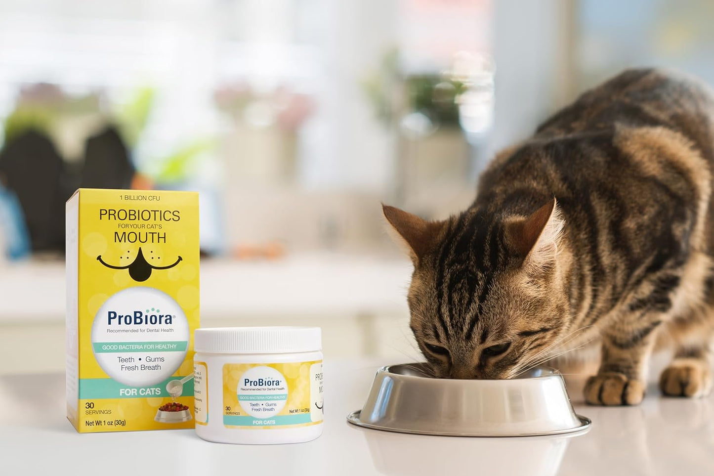 Probiora for Cats | Oral Care Probiotic Supplement for Oral Care | Pet Probiotics to Reduce Bad Breath | Cat Nutritional Supplement for Dental Health | 30 Servings (30 Servings (Pack of 3), Jar)