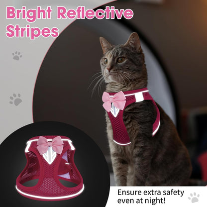 Cat Vest Harness and Leash Set for Walking Escape Proof, Adjustable Kitten Harness Breathable Mesh with Reflective Strips Harness for Kitty Puppy Bunny (Pink,M)