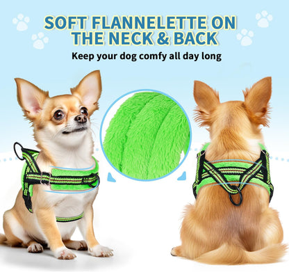 Lukovee No Pull Dog Harness and Leash Set, Soft Padded Small Dog Harness, Neck & Chest Adjustable Reflective Vest Puppy Harness with 4ft Lightweight Anti-Twist Dog Leash for Small Dogs (S, Green)