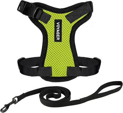 Voyager Step-in Lock Adjustable Cat Harness w. Cat Leash Combo Set with Neoprene Handle 5ft - Supports Small, Medium and Large Breed Cats by Best Pet Supplies - Lime Green/Black Trim, XXXS