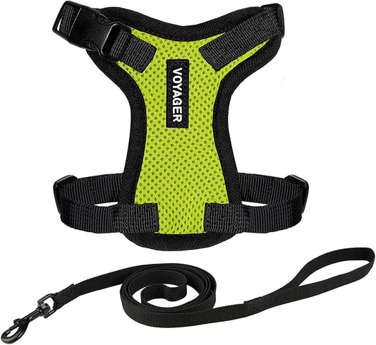 Voyager Step-in Lock Adjustable Cat Harness w. Cat Leash Combo Set with Neoprene Handle 5ft - Supports Small, Medium and Large Breed Cats by Best Pet Supplies - Lime Green/Black Trim, XXXS
