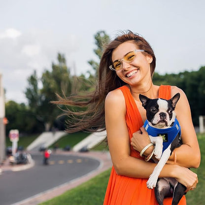 EcoBark Step in Dog Harness Reflective Soft Ultra Padded Mesh Dog Harnesses for XXS, XS, Small, and Medium Dogs Eco-Friendly Comfort Secure Halter No Pull Adjustable Pet Vest (XXXS, Royal Blue)