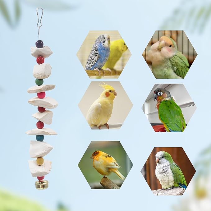 2 Pack Bird Toys with Cuttlebone, Parakeet Toys, Bird Beak Grinding Stone, Cage Accessories for Parakeets, Cuttlefish Bone for Budgies, Cockatiels, Lovebirds, Quakers, Small to Medium