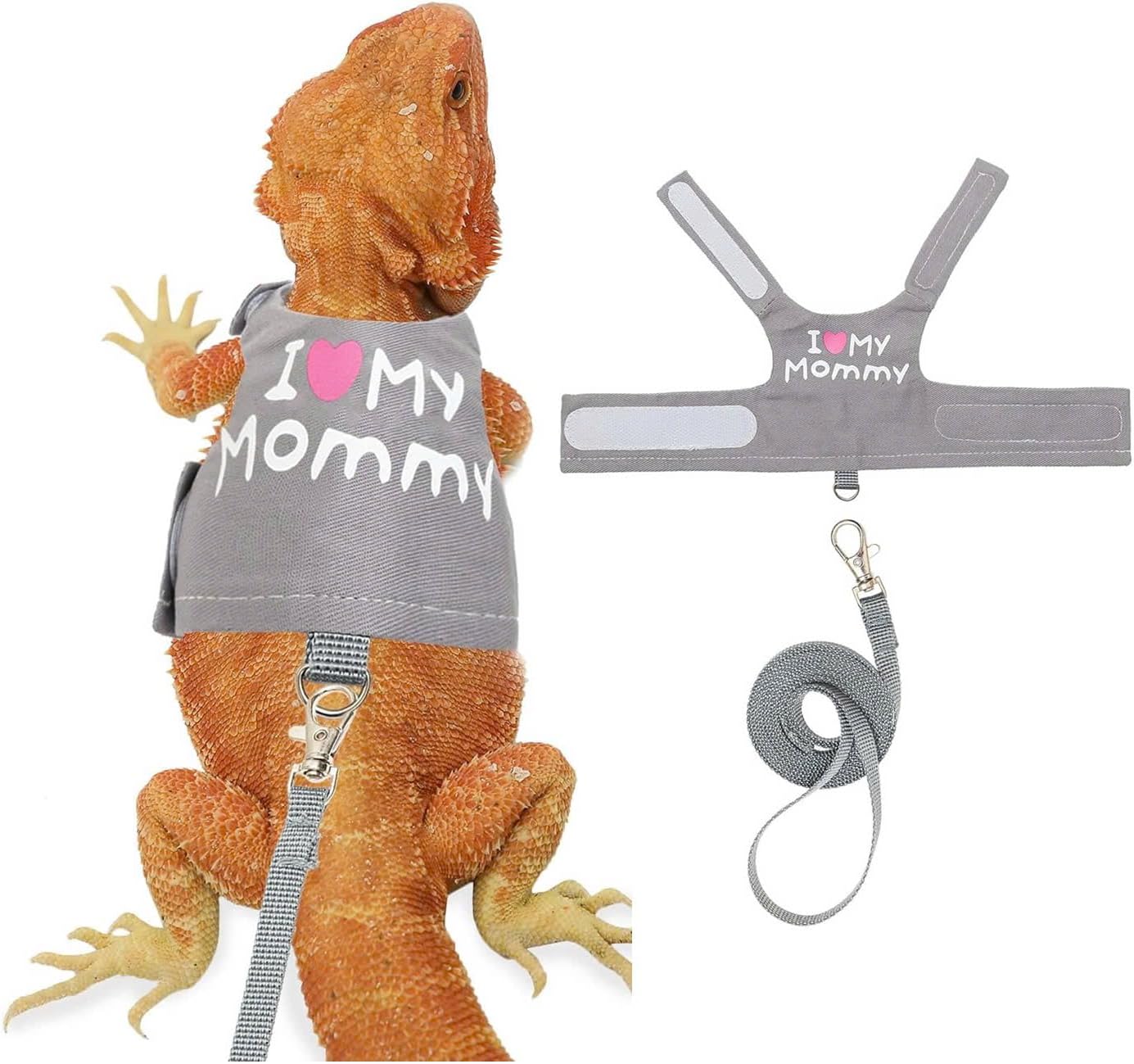 Bearded Dragon Harness and Leash Set - Adjustable Reptile Harness with Cute Design for Small Animals | Comfortable Outdoor Walking Gear for Lizards