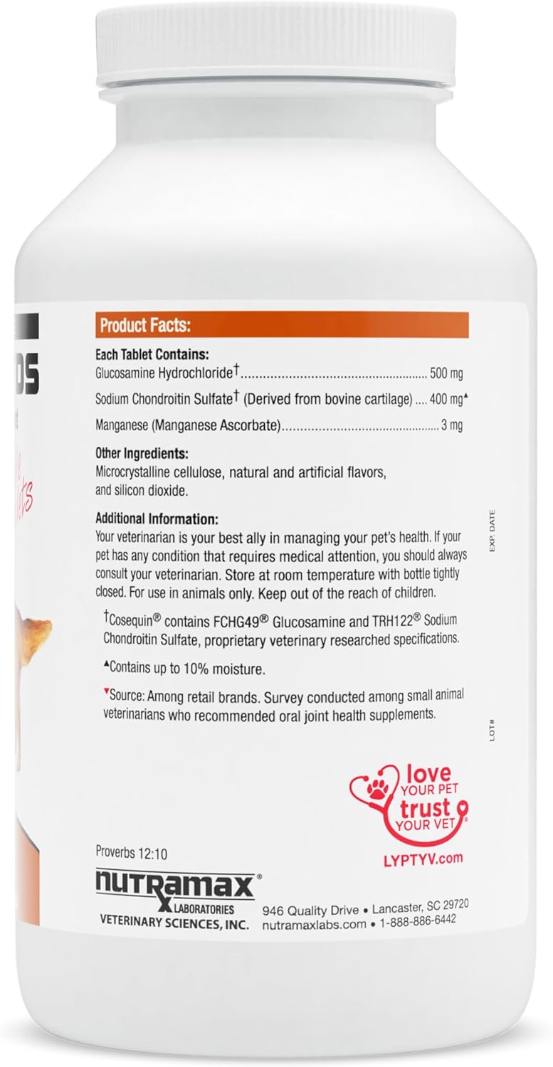 Nutramax Cosequin DS 250 Chews, 2-Pack