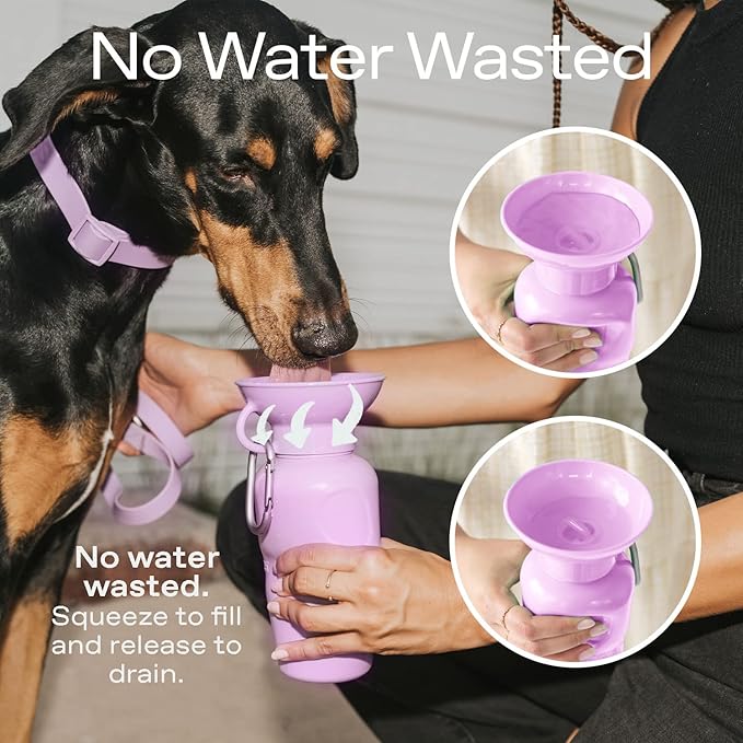 Springer by Springland Dog Water Bottle | Portable Travel Water Bottle Dispenser for Dogs | Dog Gift Seen on Oprah's Favorite Things, Shark Tank | Leak-Proof Bottles | BPA-Free 15oz Lilac