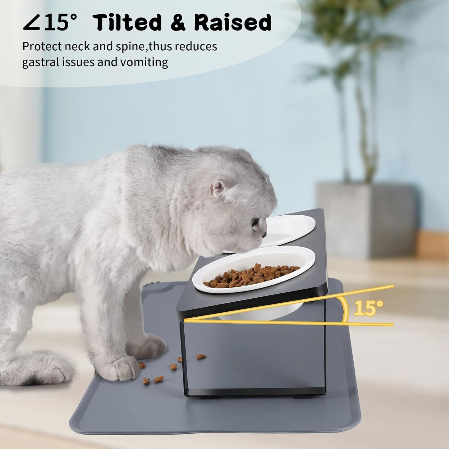 Elevated Whisker Friendly Cat Bowls, 15 Tilted Stand Anti Vomiting Raised Dishes for Food and Water,2 Ceramic Bowls for Cats and Puppy,Black