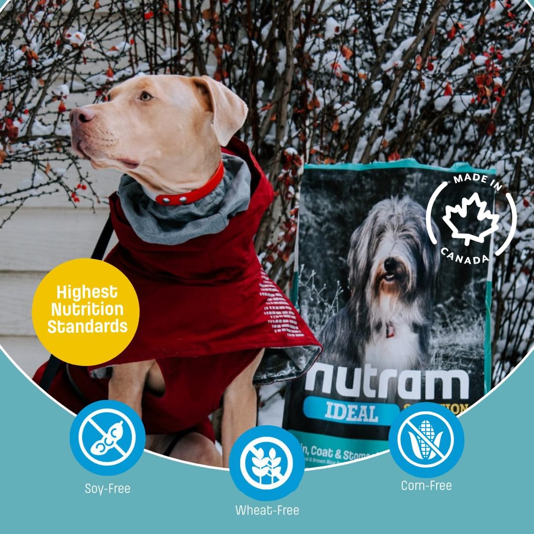 I20 Lamb & Brown Rice Dry Dog Food – Formulated for Skin, Coat, and Stomach | Kibble for Adults & Seniors | with Omega-3 Salmon Oil & Rosemary for Immunity and a Shiny Coat