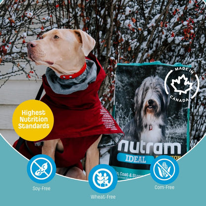 I20 Lamb & Brown Rice Dry Dog Food – Formulated for Skin, Coat, and Stomach | Kibble for Adults & Seniors | with Omega-3 Salmon Oil & Rosemary for Immunity and a Shiny Coat